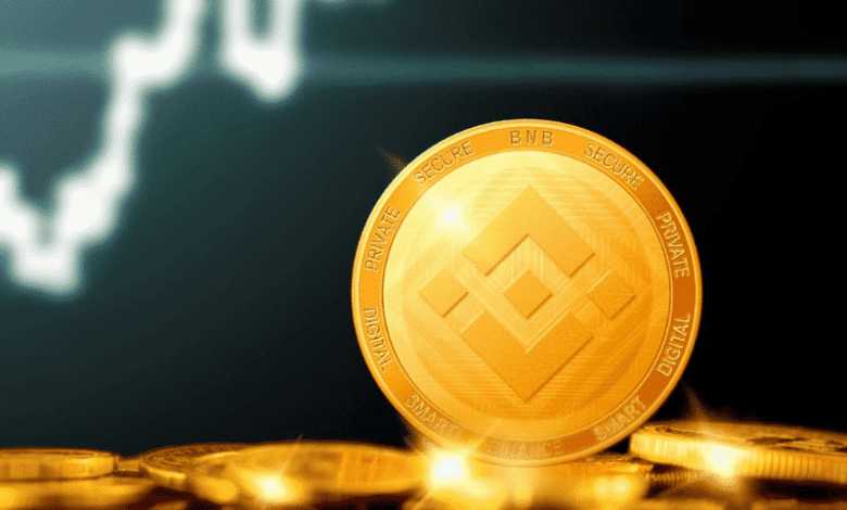آیا سرمایه گذاری در بایننس کوین سودآور است؟