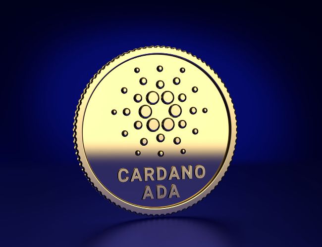 پیش بینی قیمت کاردانو