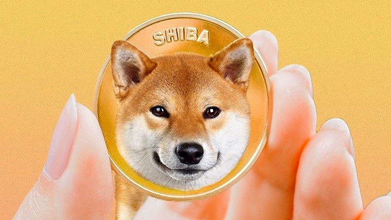 ارز دیجیتال شیبا اینو ارزش سرمایه گذاری دارد؟