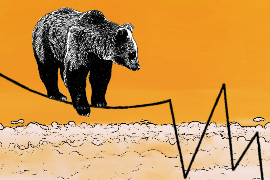 بازار خرسی در ارز دیجیتال 