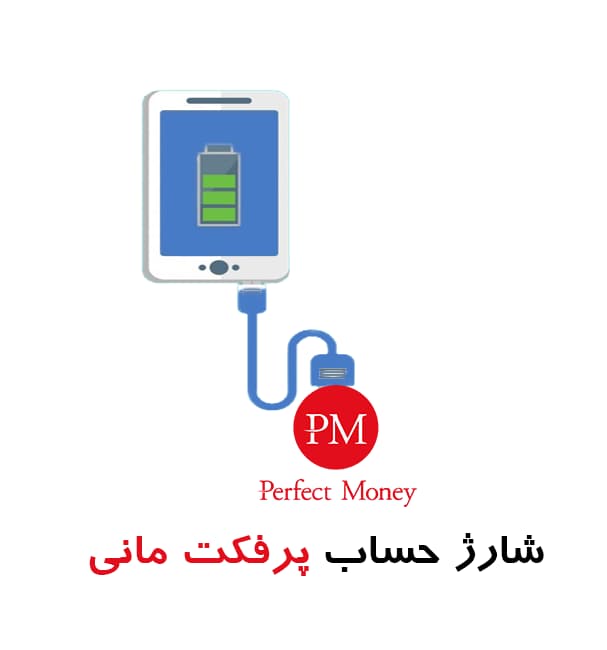 انواع روش های شارژ حساب پرفکت مانی